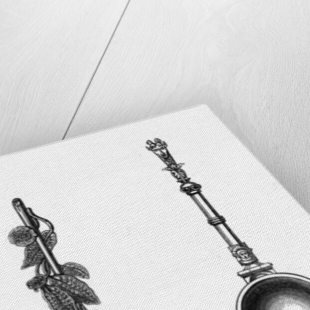 Spoons by Henry Shaw