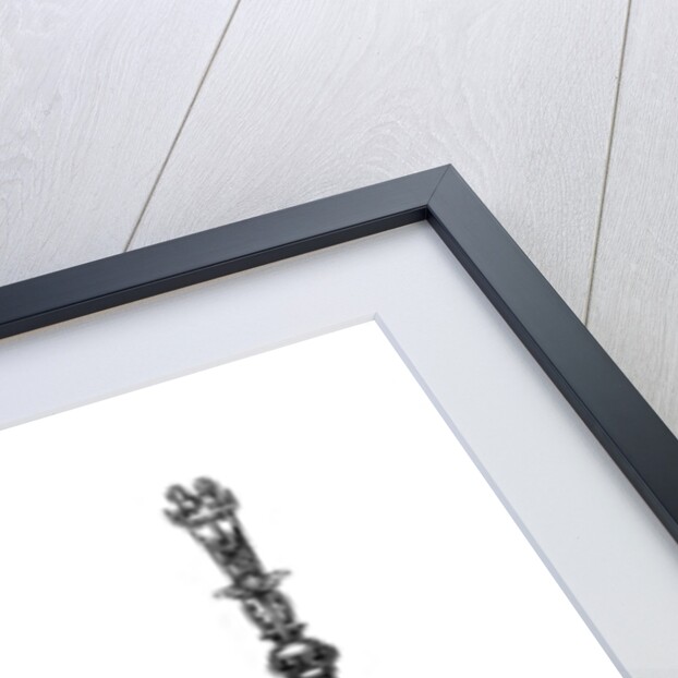 Spoons by Henry Shaw