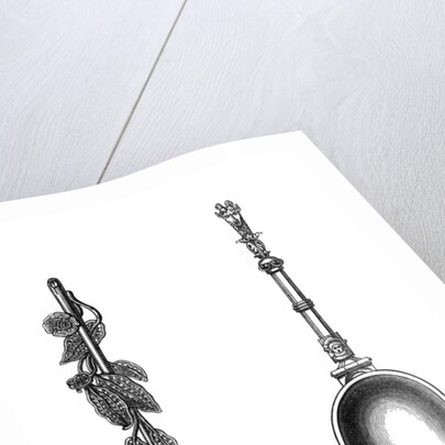 Spoons by Henry Shaw