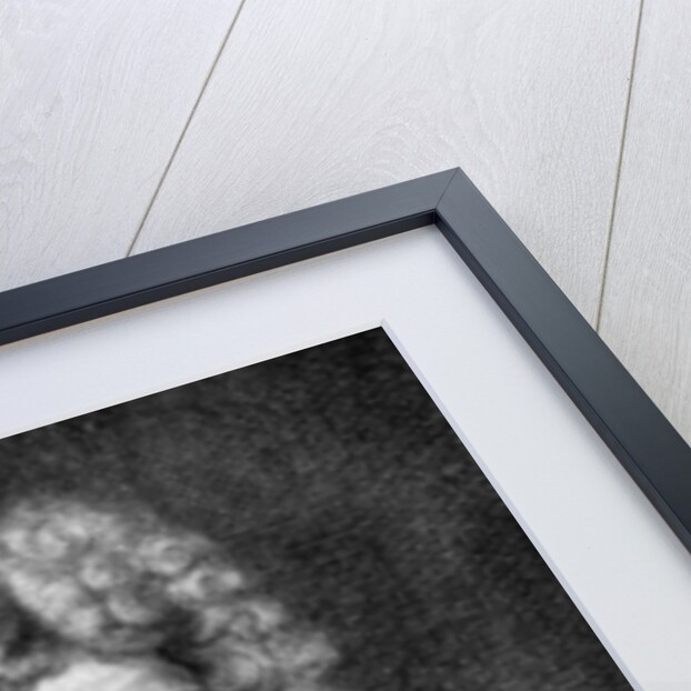 Jean de La Bruyere, French essayist and moralist by Saint Jean