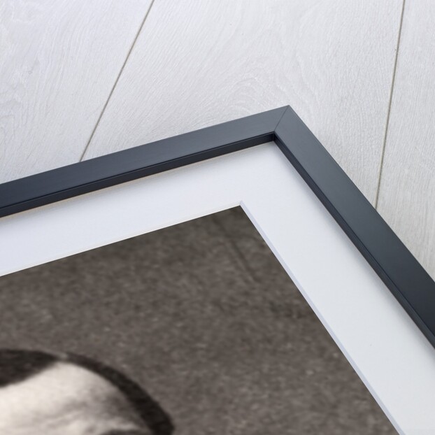 Louis Pasteur, French microbiologist and chemist by Anonymous