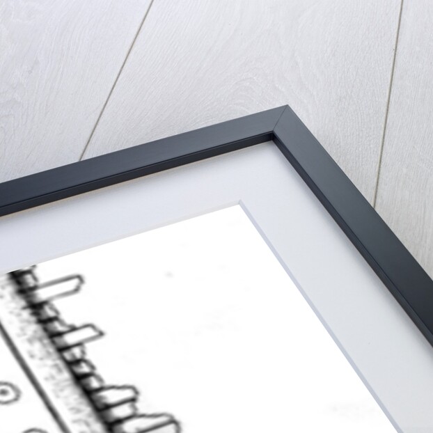 Saxon comb by Anonymous