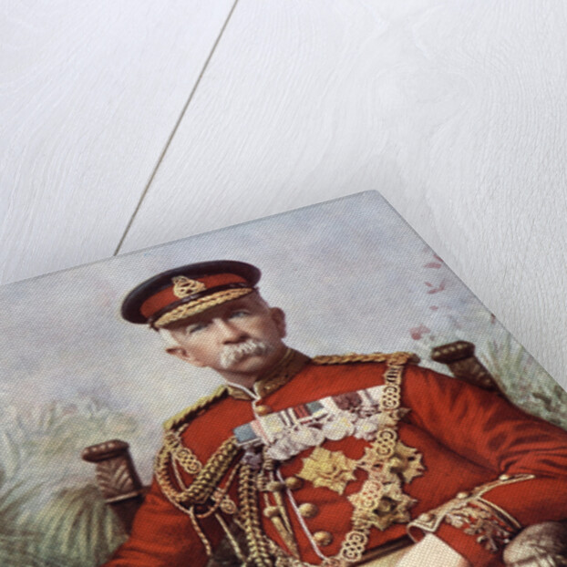 Sir Henry Evelyn Wood, English Field Marshal and a recipient of the Victoria Cross by Mayall