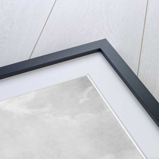 Homeward Bound by Thomas J Somerscales