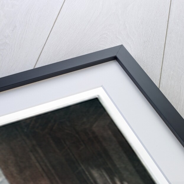 Milk Below Maids by Luigi Schiavonetti