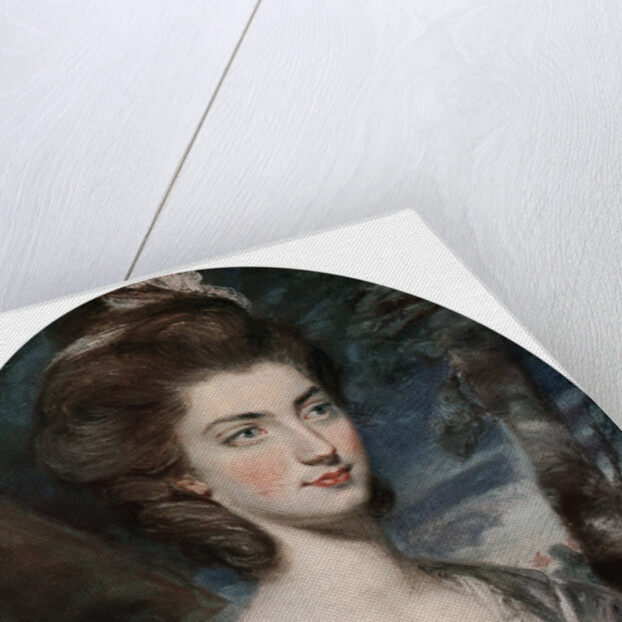 Lady Charlotte Hill, Countess Talbot by Daniel Gardner