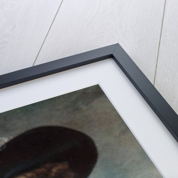 Mrs Agar Ellis by Samuel William Reynolds