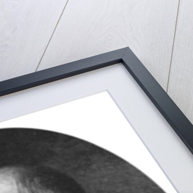 Otto von Bismarck, Duke of Lauenburg, German statesman by Anonymous