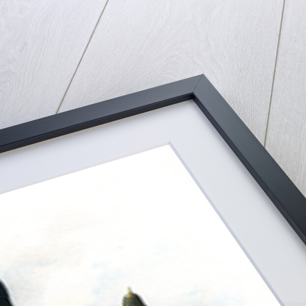 1st Battalion (West Melbourne) Victoria Infantry by H Bunnett