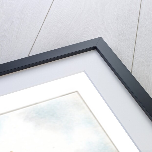 The 2nd, The Queen's (Royal West Surrey) by Anonymous