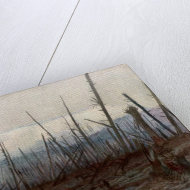 The Cliff of Craonne by Francois Flameng