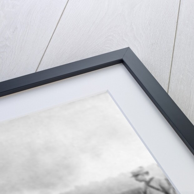 The carcass of Zeppelin LZ93 (L44), St Clement, France by Anonymous