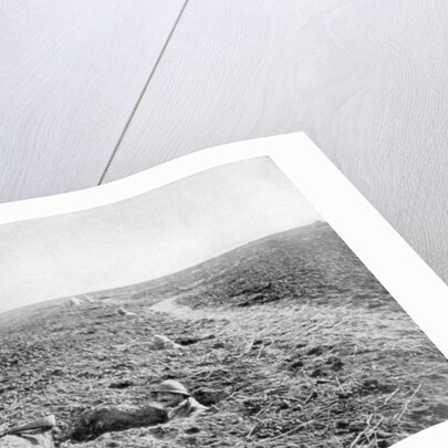 A line of French infantry foxholes by Anonymous