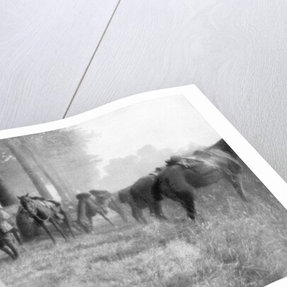 American cavalry unit at rest, Chemin des Dames, France by Anonymous