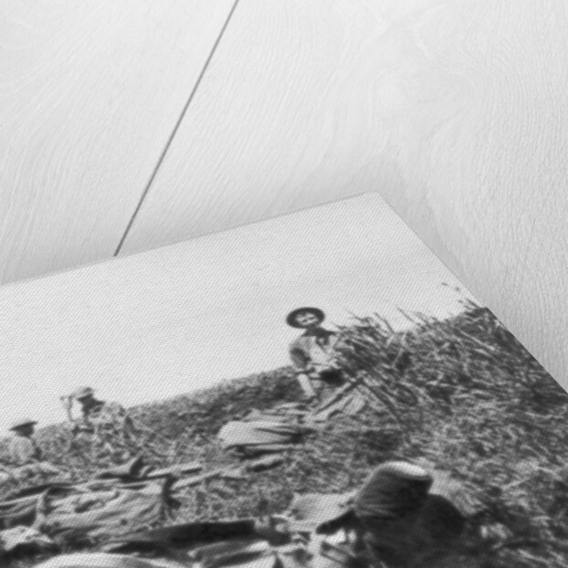 American marines digging trenches, Lucy-le-Bocage, France by Anonymous