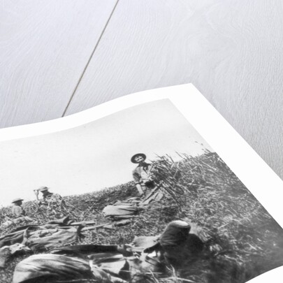 American marines digging trenches, Lucy-le-Bocage, France by Anonymous