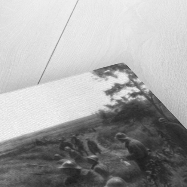 French infantry position in a sunken lane, north of Villers-Cotterets, Aisne, France by Anonymous