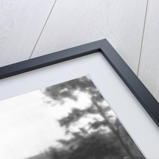 French infantry position in a sunken lane, north of Villers-Cotterets, Aisne, France by Anonymous