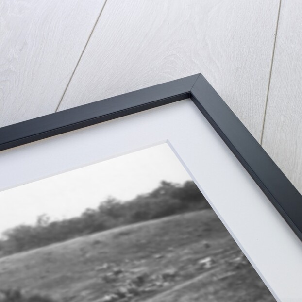 French 75th artillery battery, Aisne, France by Anonymous