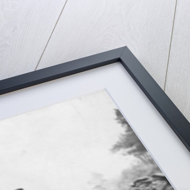 Field Marshal Douglas Haig reviewing Canadian troops, Drocourt-Queant by Anonymous