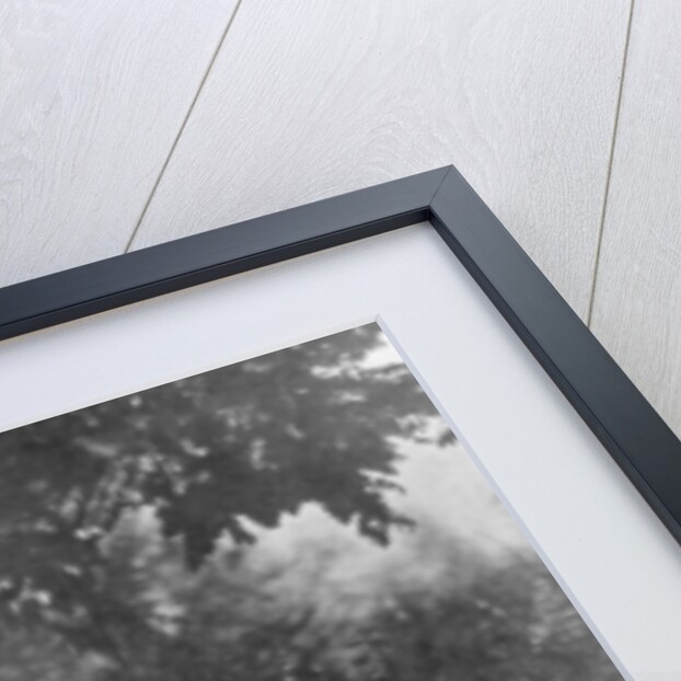 Emperor Franz Josef I of Austria by Hoeck