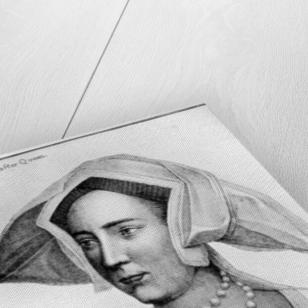 Lady Mary by Anonymous