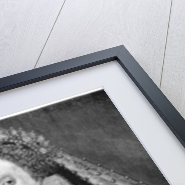 Queen Elizabeth I by Anonymous