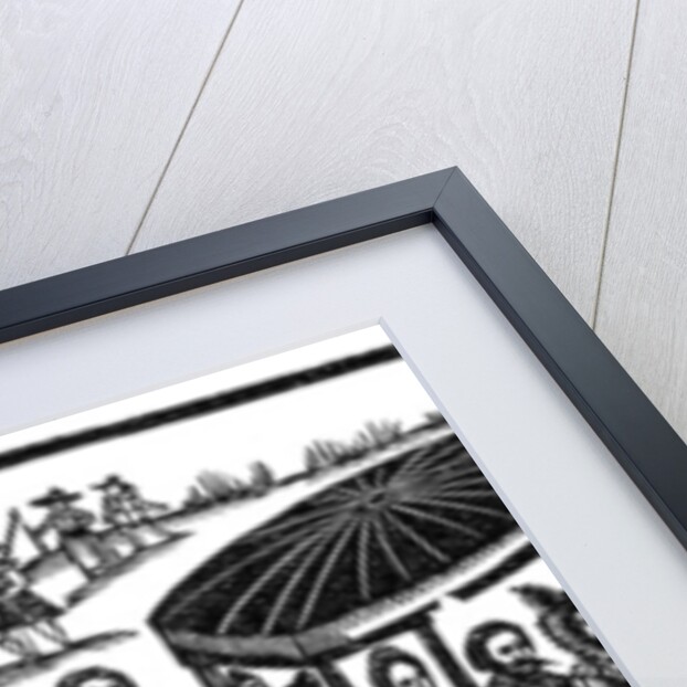 The plague: flight to the country by Anonymous