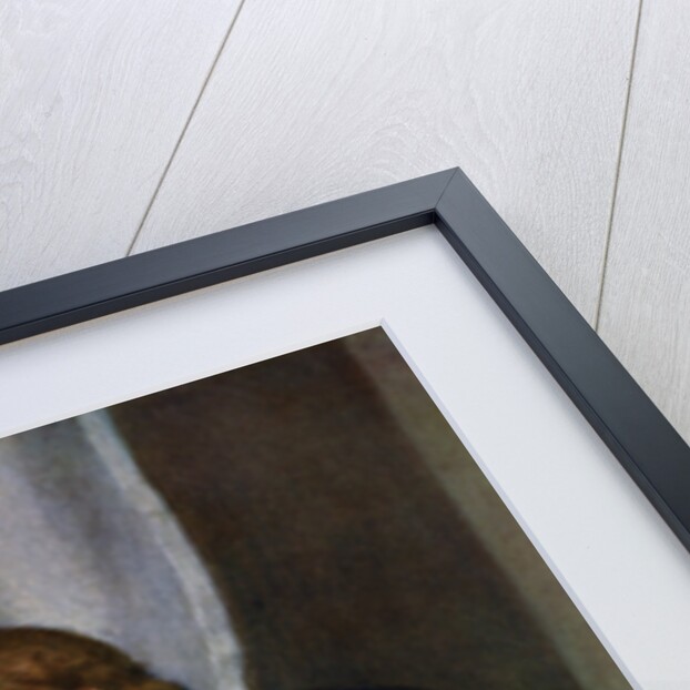 Mother's Darling by Joseph Clark