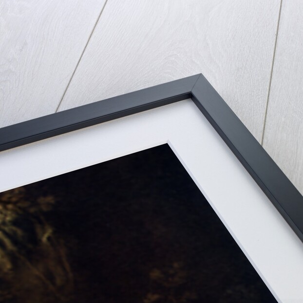 Venus with Mercury and Cupid ('The School of Love') by Correggio