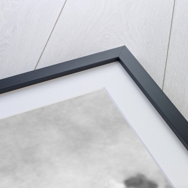 The front line around the Aisne, France, World War I by Anonymous