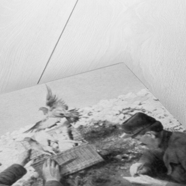 Messenger pigeons being released at the front line, World War I by Anonymous