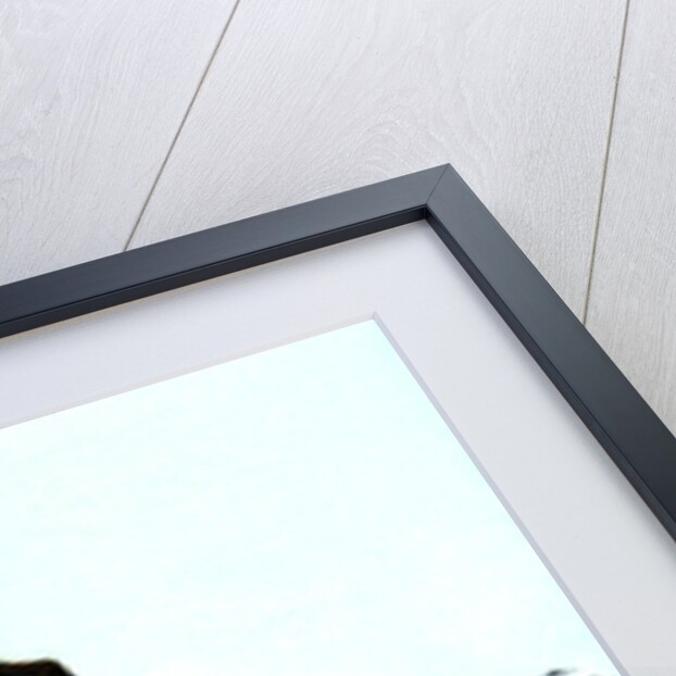 The Pagoda, Kew Gardens, Richmond upon Thames, London by Anonymous