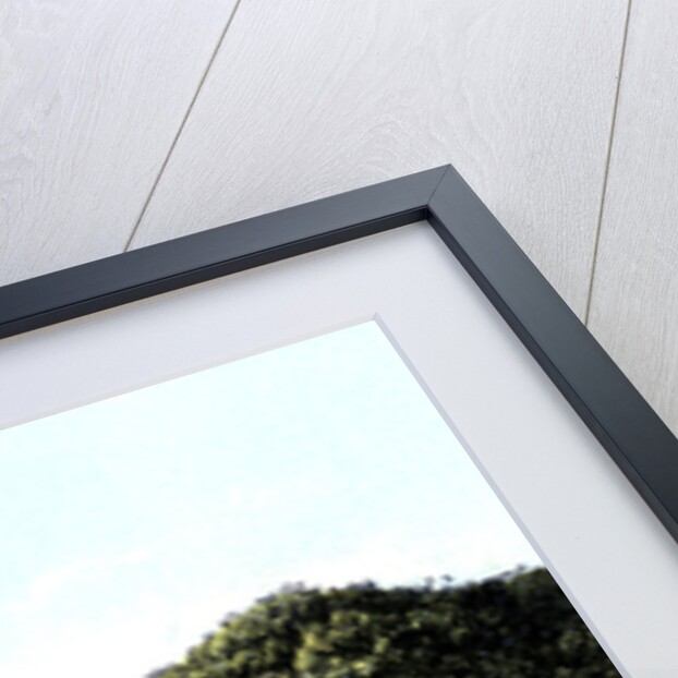 View of the Thames From Richmond Hill, London by Anonymous