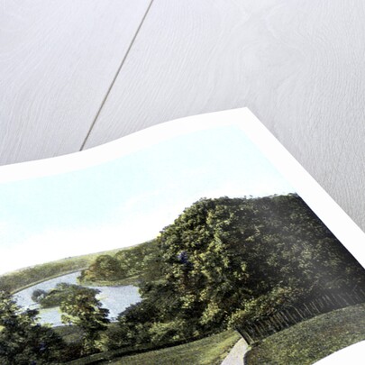 View of the Thames From Richmond Hill, London by Anonymous