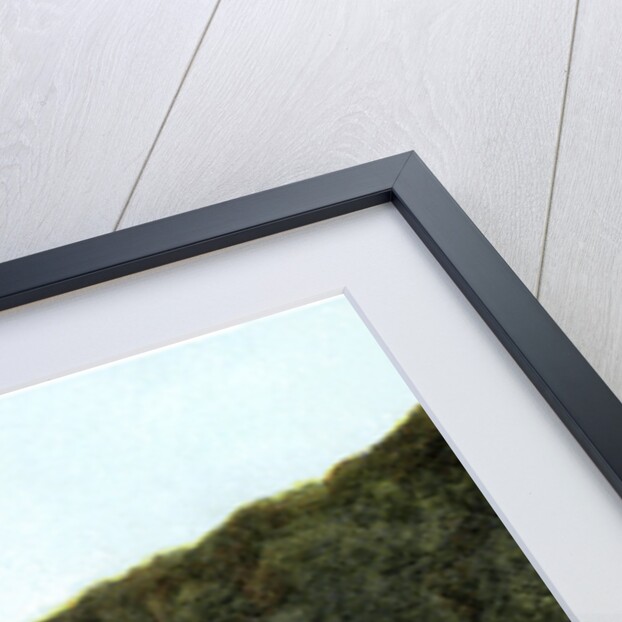 Towing path alongside the Thames, Maidenhead, Berkshire by Anonymous