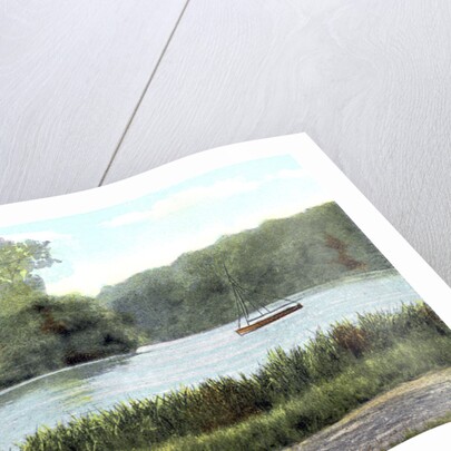Virginia Water, Surrey by Anonymous