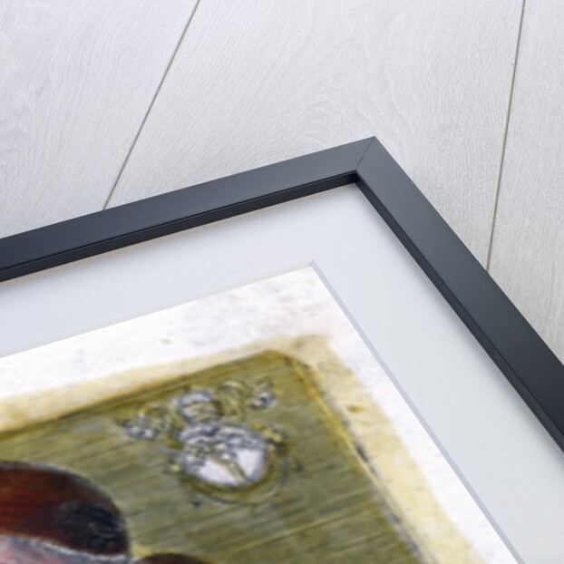 Pope Julius II by Anonymous