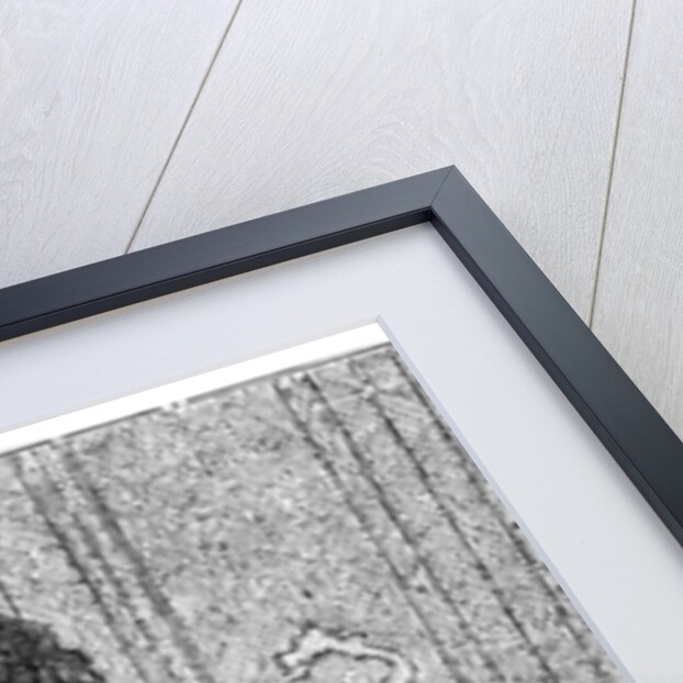 La lanterne! in winter; L'eau in summer by Bouchardon