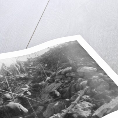 Abandoned German trenches, Eparges ridge, near Verdun, France by Anonymous