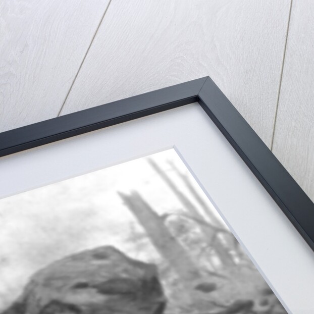 French Chasseurs Alpins fighting in Alsace during 1914 by J Simont