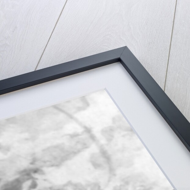 The lifeboats of RMS Lusitania by Samuel Begg