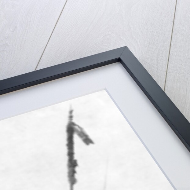 French troops with their regimental flag, the 2nd Battle of Champagne, France by Anonymous