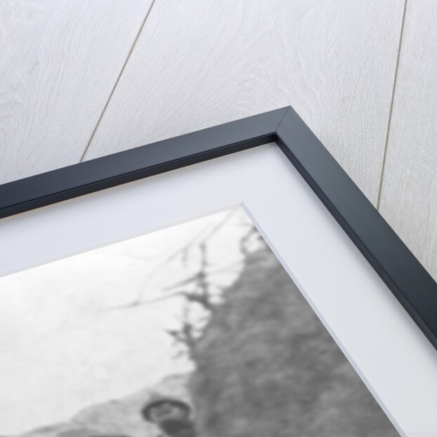 A French trench before an attack, 2nd Battle of Champagne, France by Anonymous