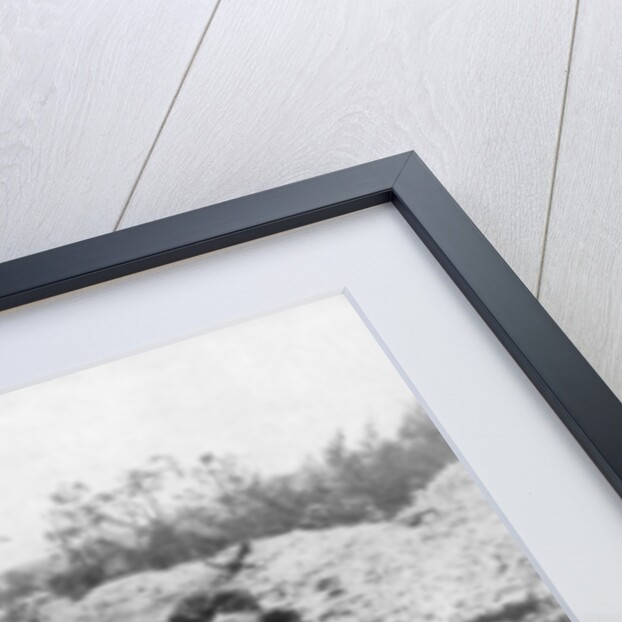 German dead, Second Battle of Champagne by Anonymous