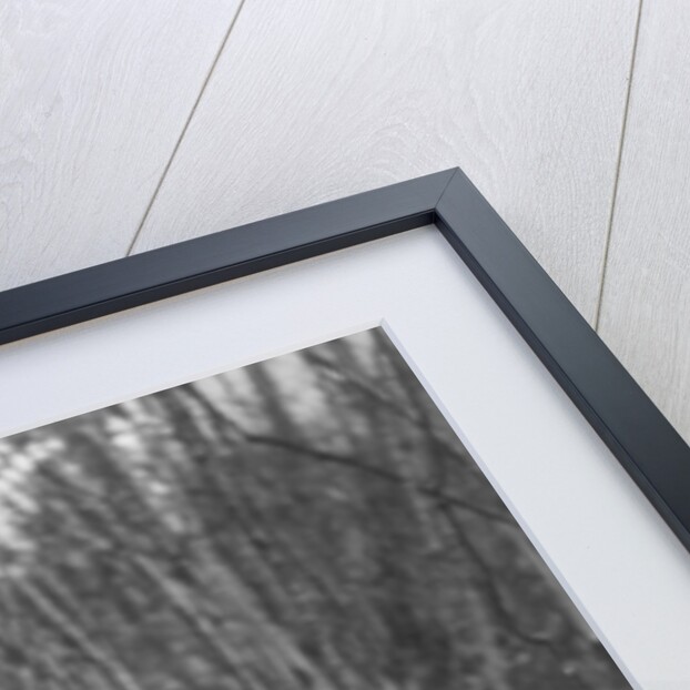 A French soldier's wounds are treated, World War I, France by Anonymous