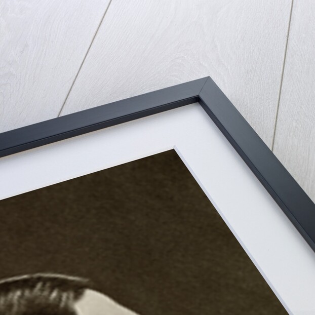 Alfred Edward Woodley Mason, British author by Elliott & Fry