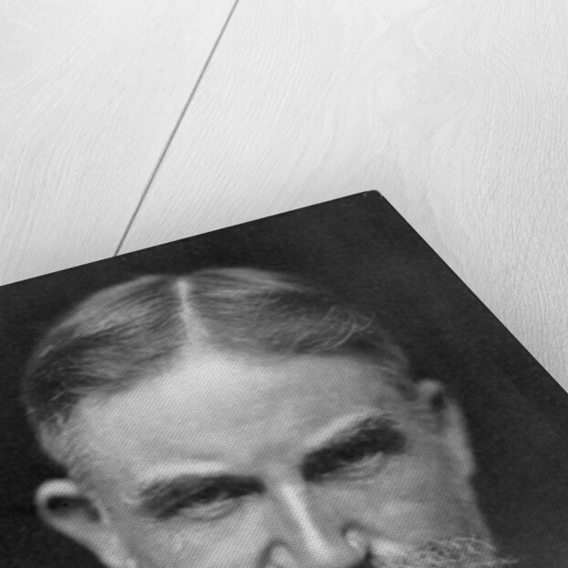 George Bernard Shaw, Anglo-Irish playwright by Lizzie Caswall Smith