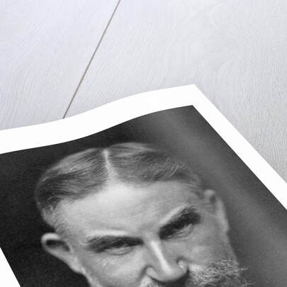 George Bernard Shaw, Anglo-Irish playwright by Lizzie Caswall Smith