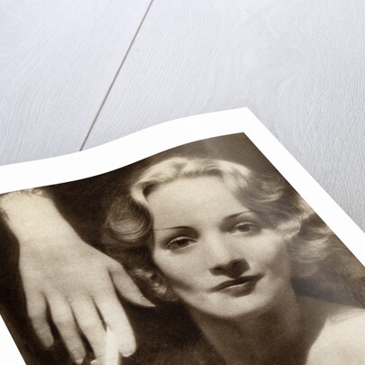 Marlene Dietrich, German-American actress by Anonymous